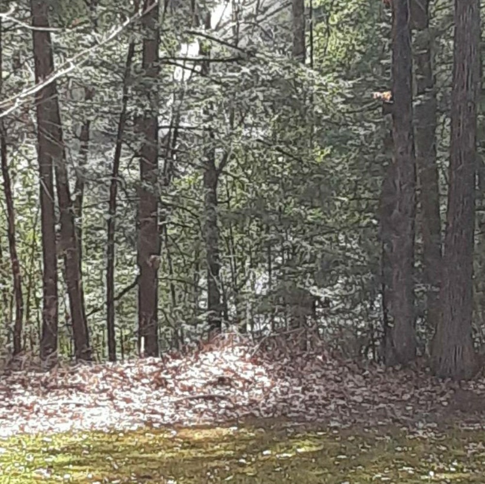 Meet your Posher, Lindsey